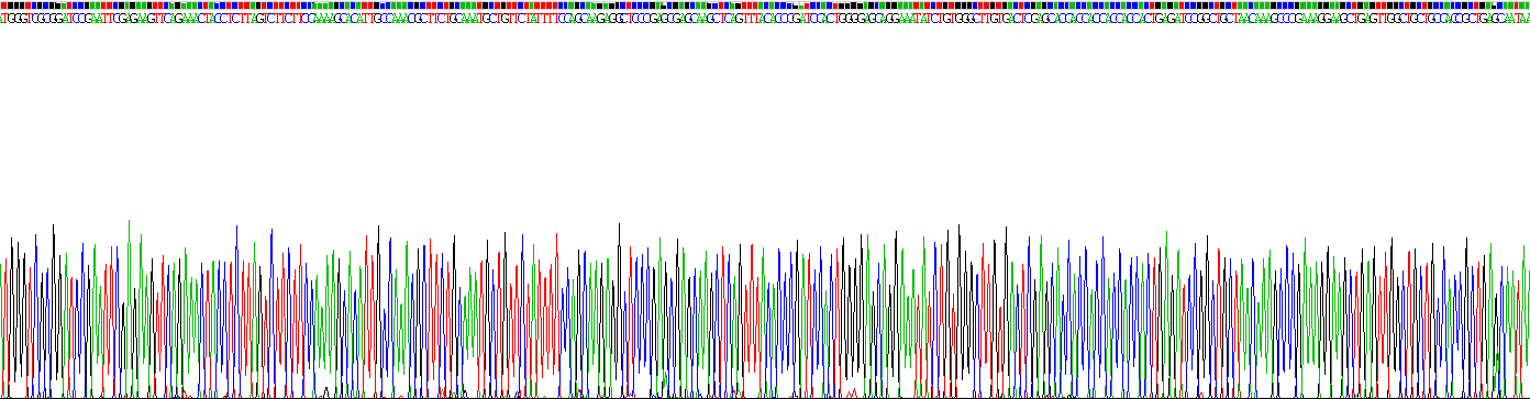 Recombinant Chemokine C-C-Motif Receptor 5 (CCR5)