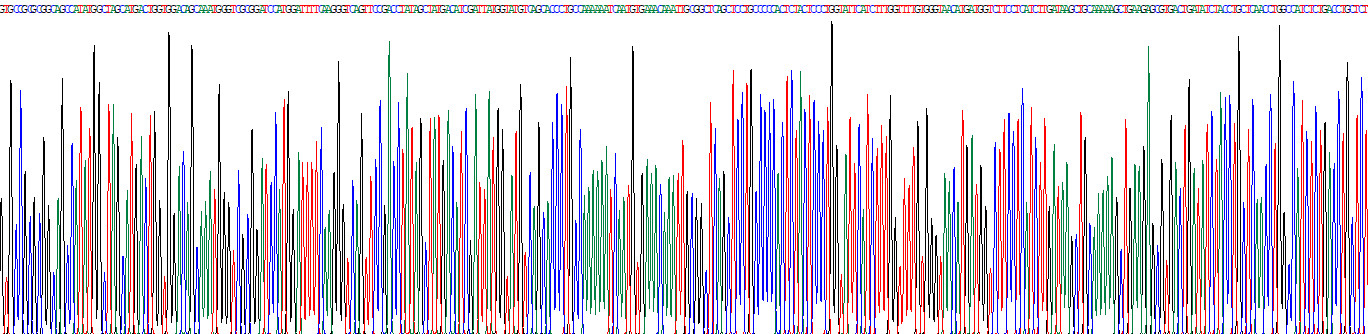Recombinant Chemokine C-C-Motif Receptor 5 (CCR5)