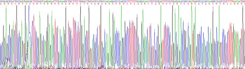 Recombinant Retinol Binding Protein 4 (RBP4)