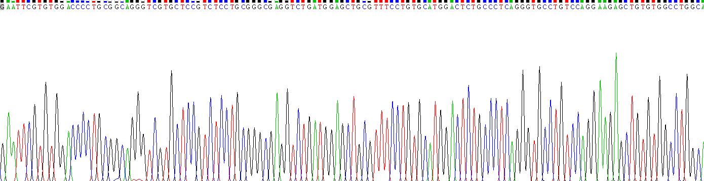 Recombinant Von Willebrand Factor Cleaving Protease (vWFCP)