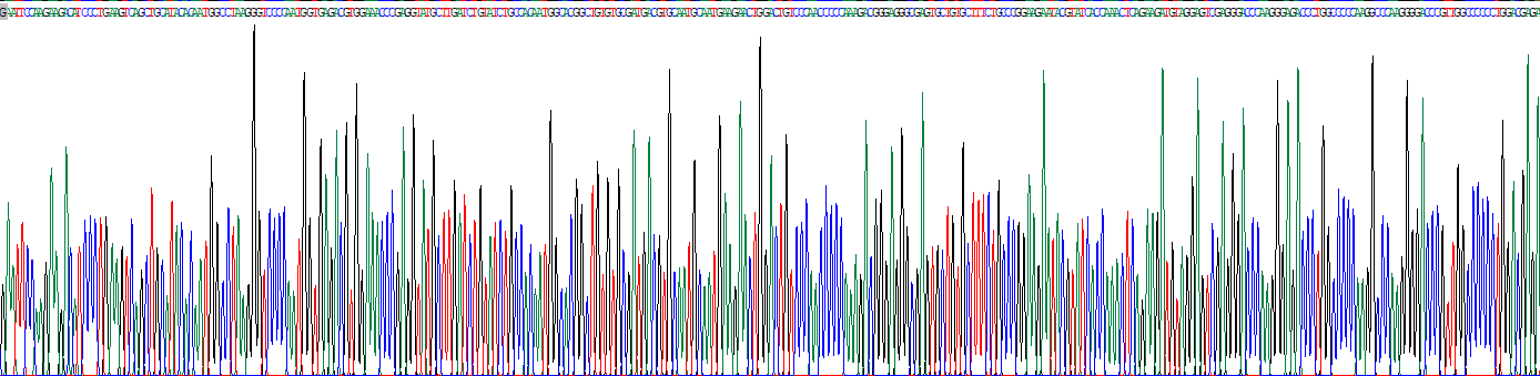 Recombinant Procollagen I N-Terminal Propeptide (PINP)