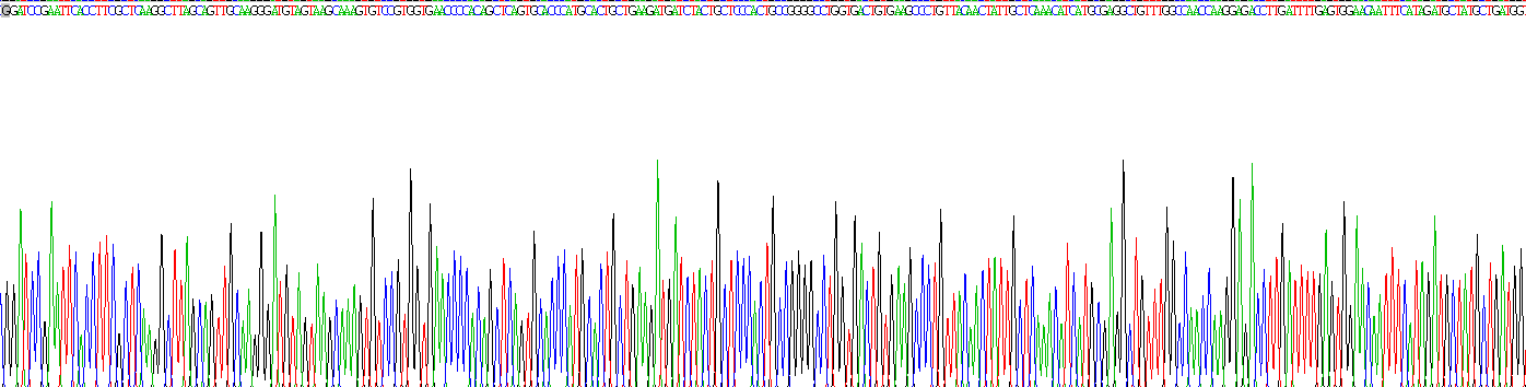 Recombinant Glypican 4 (GPC4)