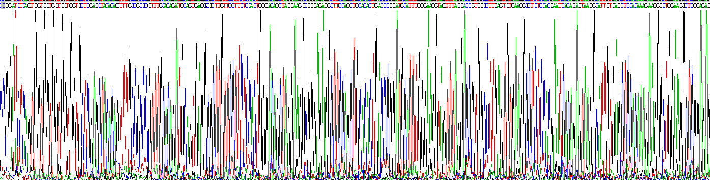 Recombinant Alpha-2-Macroglobulin (a2M)