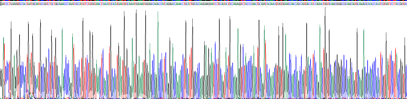 Recombinant Amyloid Precursor Protein (APP)