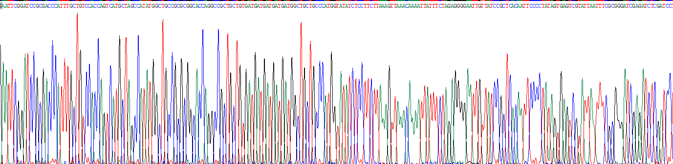 Recombinant Beta-Lactoglobulin (bLg)