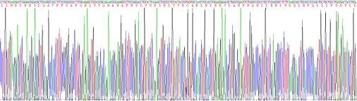 Recombinant Glypican 1 (GPC1)