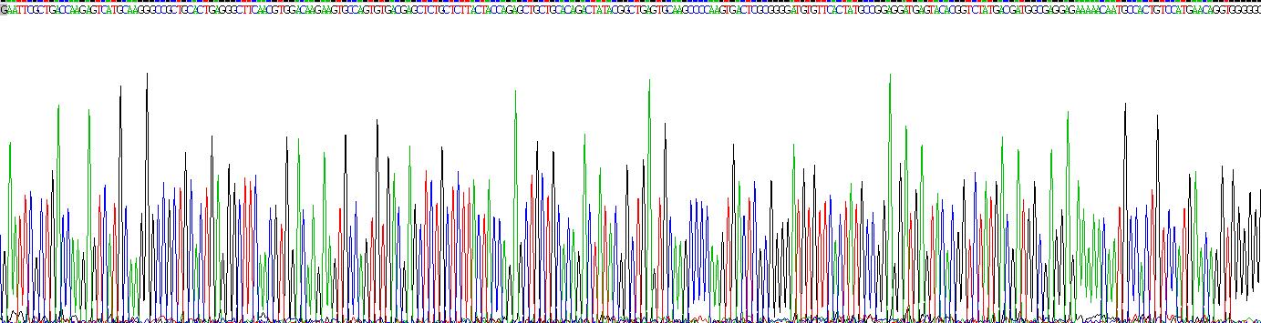 Recombinant Vitronectin (VTN)