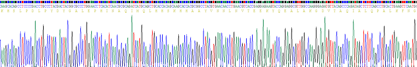 Recombinant Superoxide Dismutase 2, Mitochondrial (SOD2)