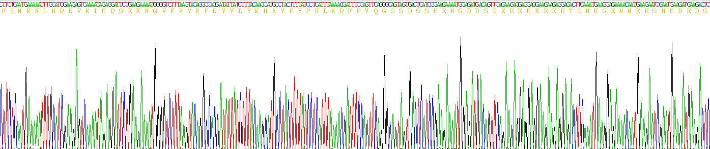 Recombinant Bone Sialoprotein (BSP)