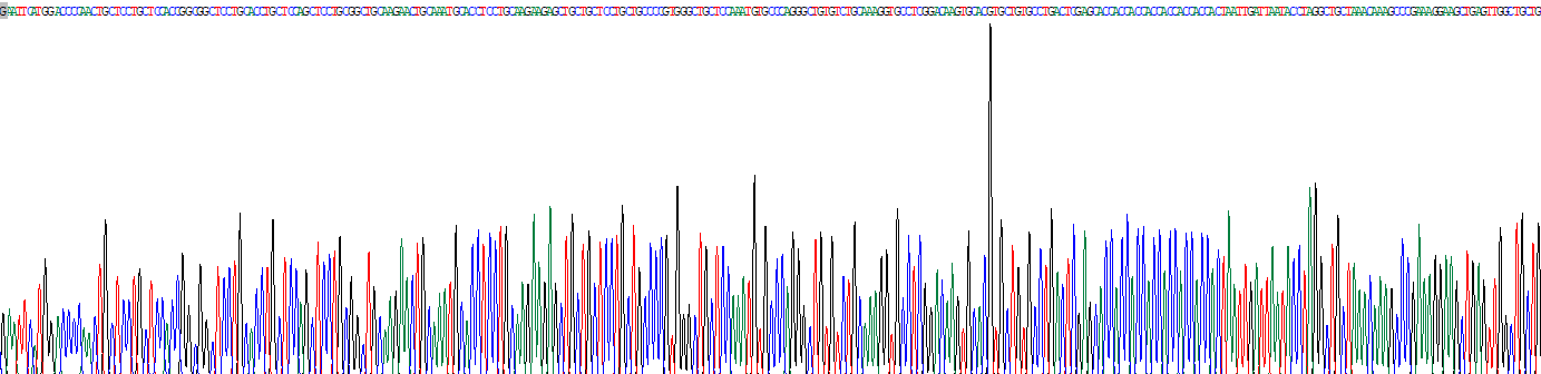 Recombinant Metallothionein 1 (MT1)