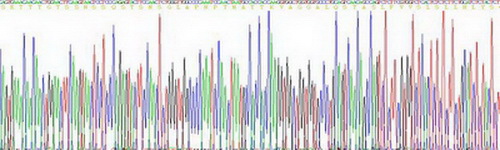 Recombinant Cluster Of Differentiation 24 (CD24)