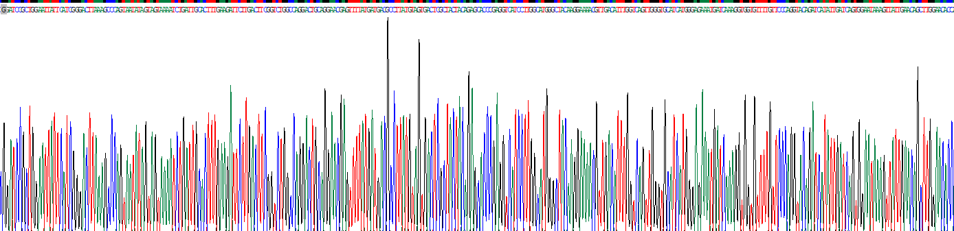 Recombinant c-Jun N-terminal Kinase 1 (JNK1)