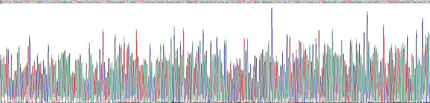 Recombinant Interleukin 31 (IL31)