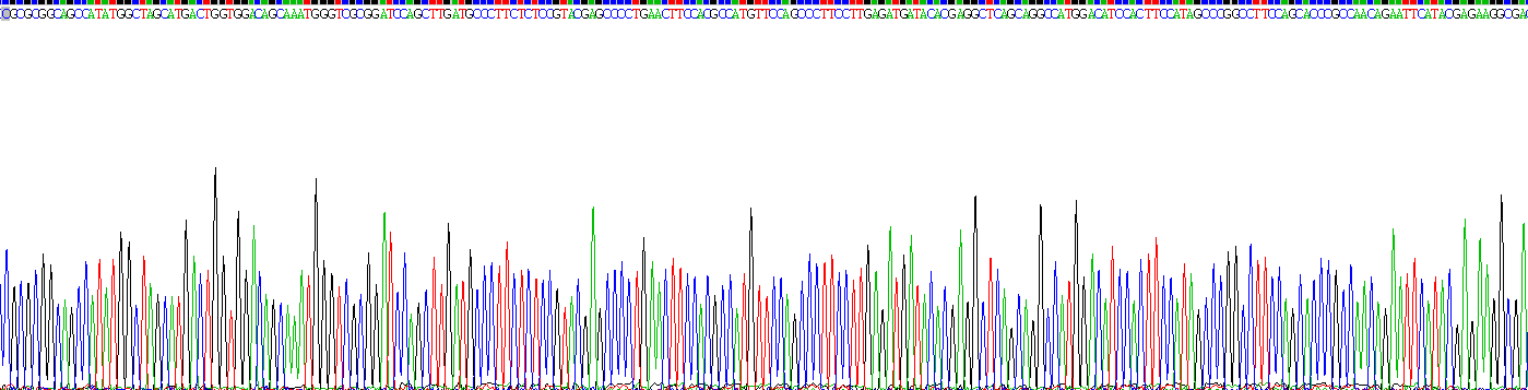 Recombinant Clusterin (CLU)