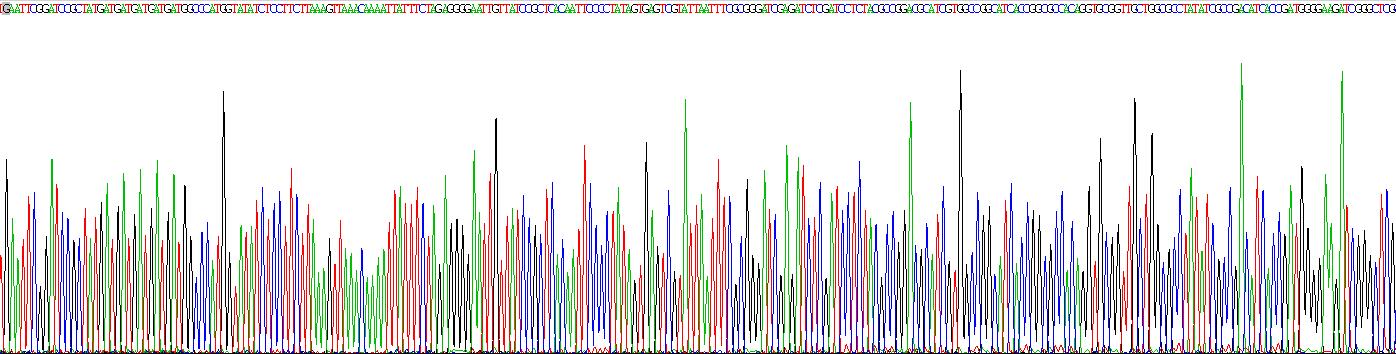 Recombinant Glucose Transporter 1 (GLUT1)
