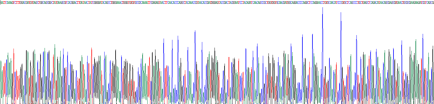 Recombinant Lysozyme (LZM)