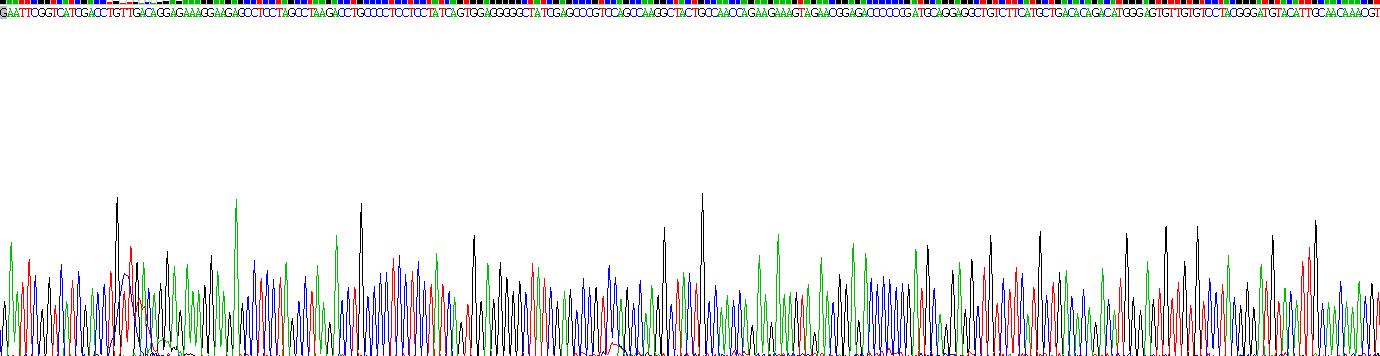 Recombinant Fibrinogen Beta Chain (FGB)