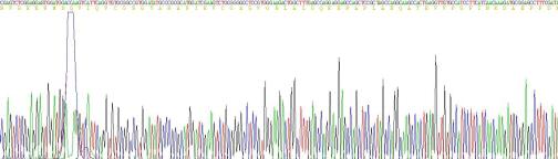 Recombinant Relaxin (RLN)