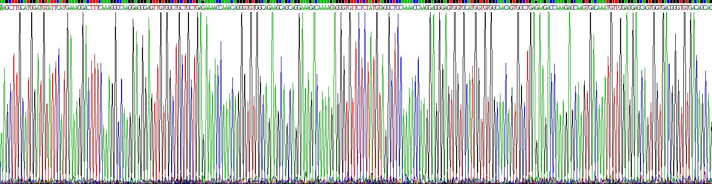 Recombinant Synuclein Alpha (SNCa)