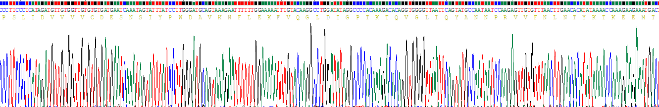 Recombinant Integrin Alpha 2 (ITGa2)