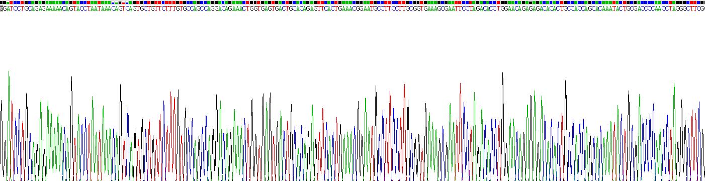 Recombinant Tumor Necrosis Factor Receptor Superfamily, Member 5 (CD40)