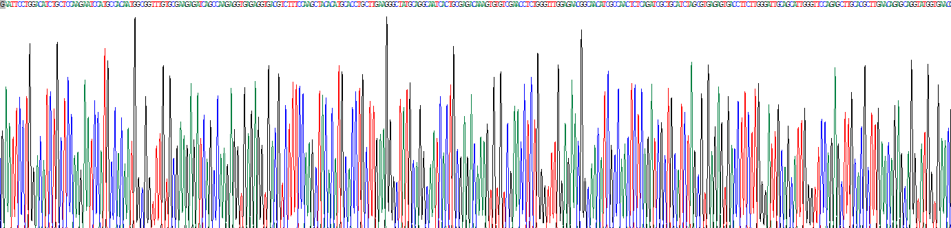 Recombinant Milk Fat Globule EGF Factor 8 (MFGE8)