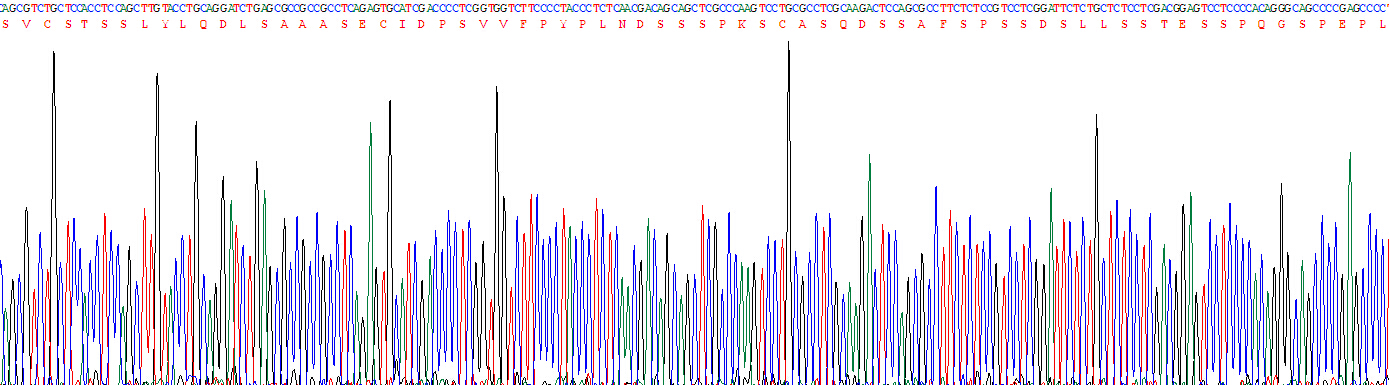 Recombinant V-Myc Myelocytomatosis Viral Oncogene Homolog (MYC)