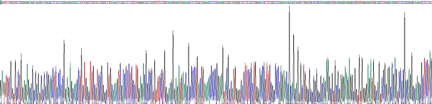 Recombinant Proopiomelanocortin (POMC)