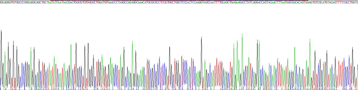 Recombinant Perforin 1 (PRF1)
