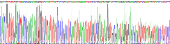 Recombinant Thymic Stromal Lymphopoietin (TSLP)