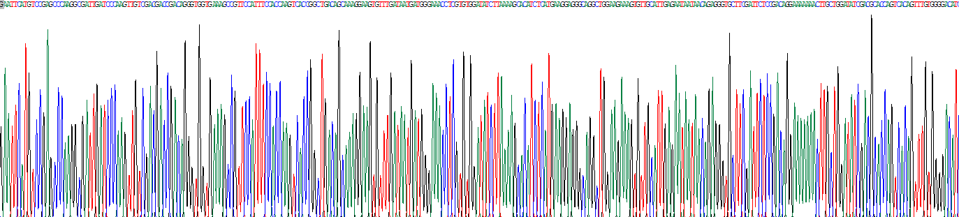 Recombinant Calcineurin (CaN)