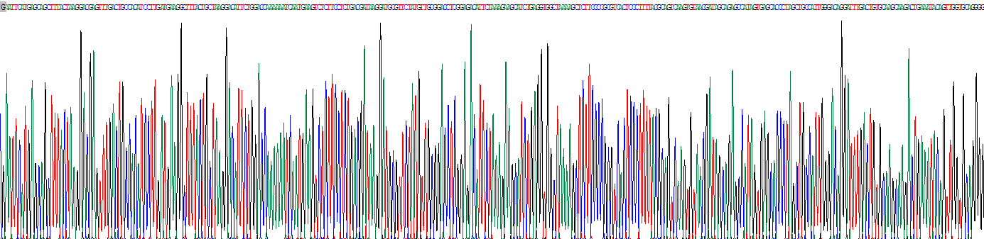 Recombinant Ornithine Decarboxylase (ODC)