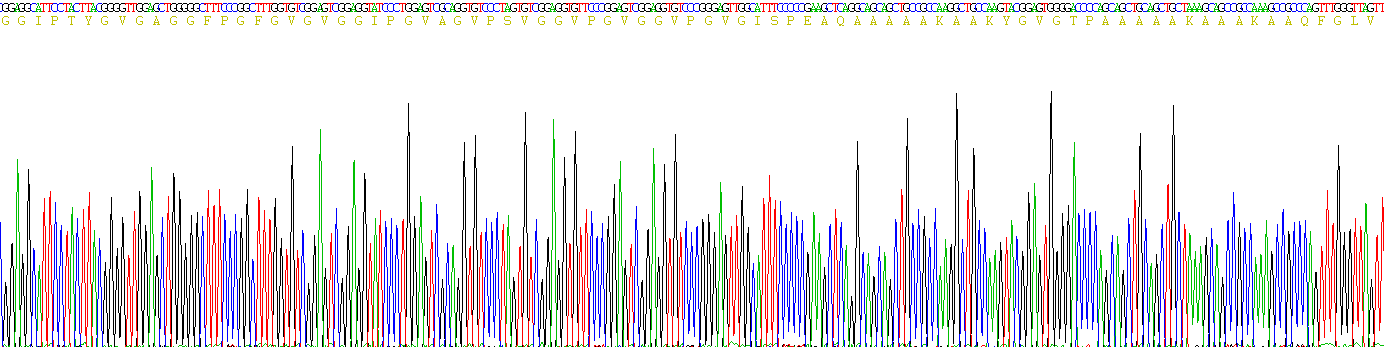 Recombinant Elastin (ELN)