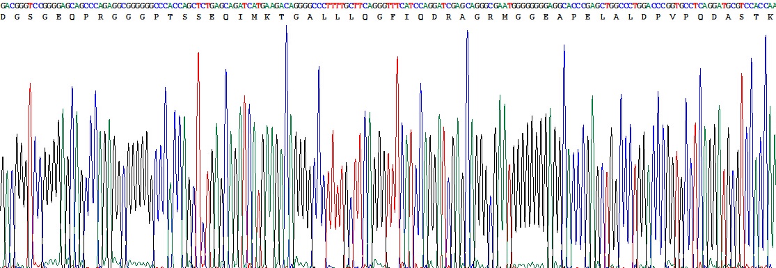 Recombinant Bcl2 Associated X Protein (Bax)