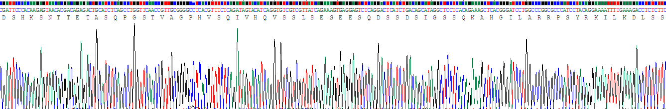 Recombinant Activating Transcription Factor 1 (ATF1)