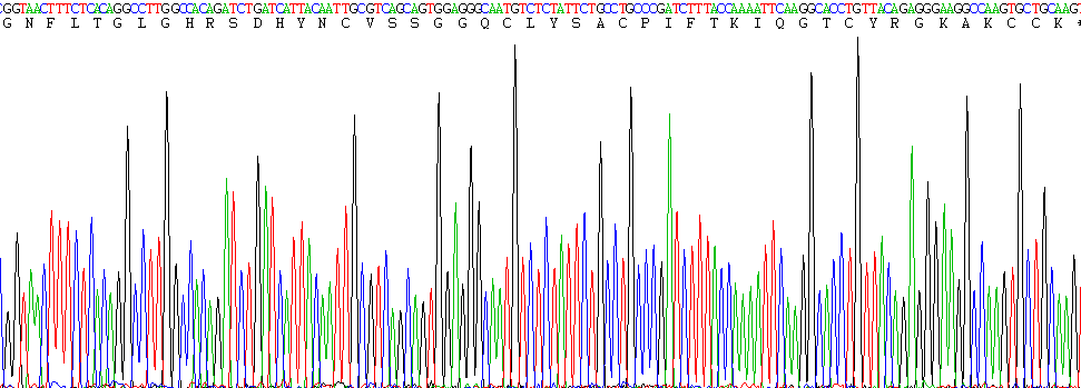 Recombinant Defensin Beta 1 (DEFb1)