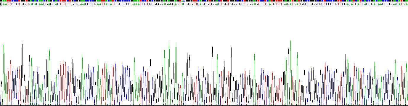 Recombinant Protein Kinase C Zeta (PKCz)