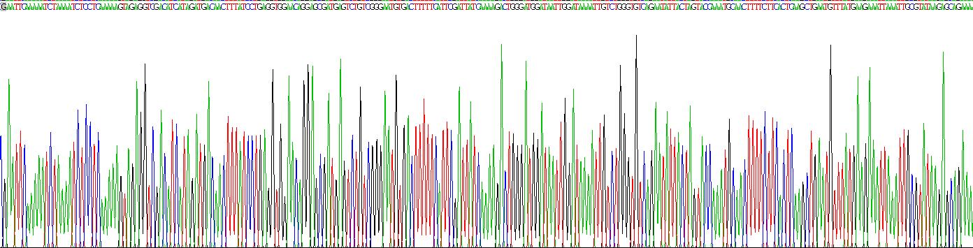 Recombinant Interferon Alpha/Beta Receptor 1 (IFNa/bR1)