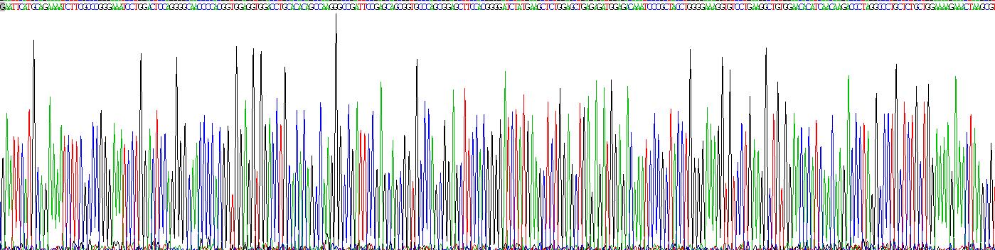 Recombinant Enolase 3 (ENO3)