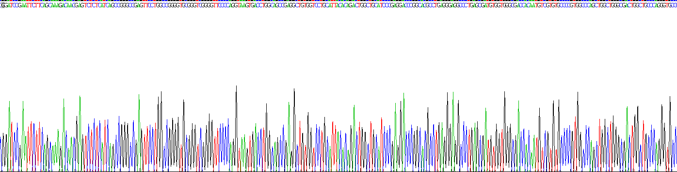 Recombinant Acetylcholinesterase (ACHE)