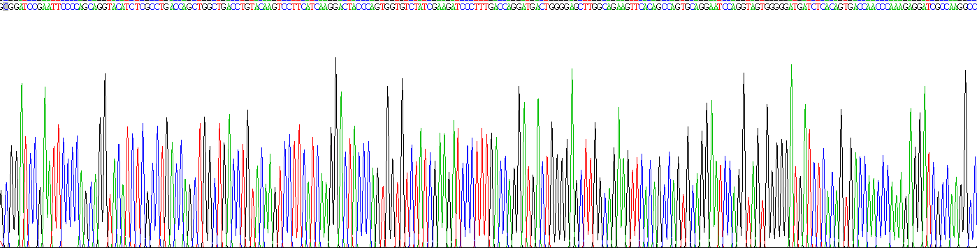 Recombinant Enolase 1 (ENO1)