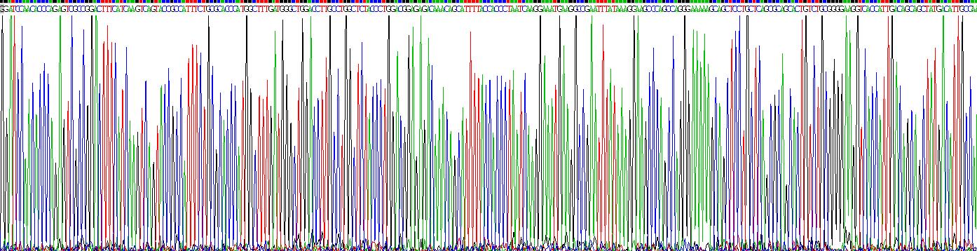 Recombinant Chitinase-3-like Protein 1 (CHI3L1)