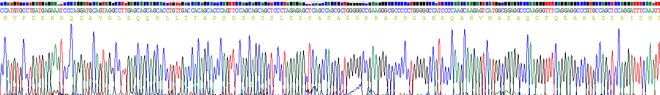 Recombinant Tumor Necrosis Factor Receptor Superfamily, Member 1B (TNFRSF1B)