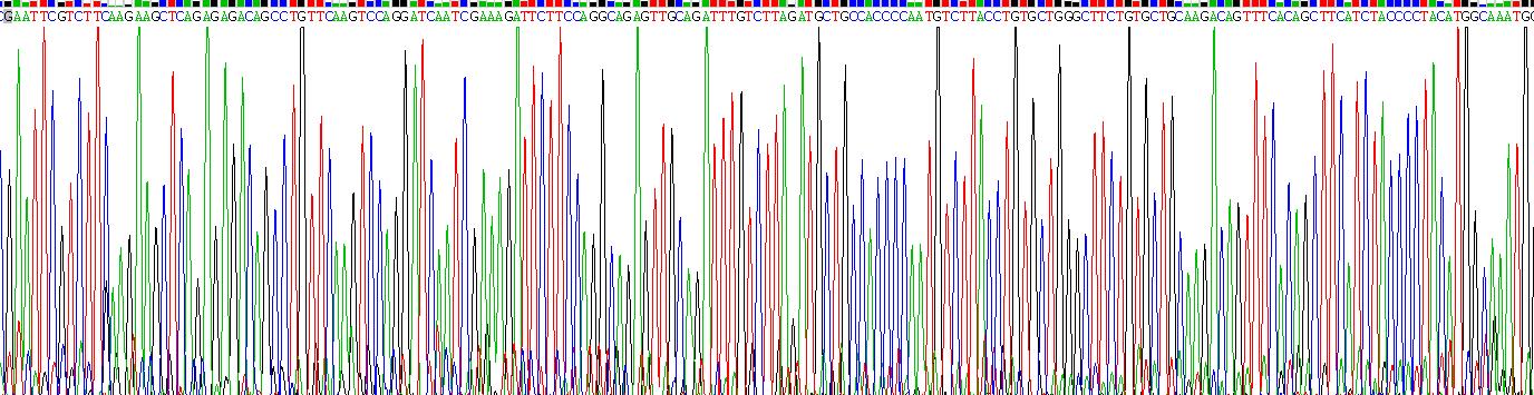 Recombinant Interleukin 1 Receptor Associated Kinase 2 (IRAK2)