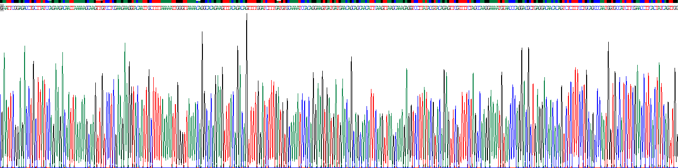 Recombinant Cluster Of Differentiation 36 (CD36)