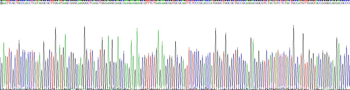 Recombinant Lymphotoxin Beta (LTb)