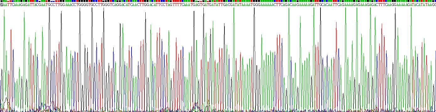Recombinant Cluster Of Differentiation 2 (CD2)