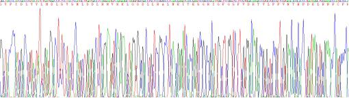 Recombinant Integrin Beta 2 (CD18)