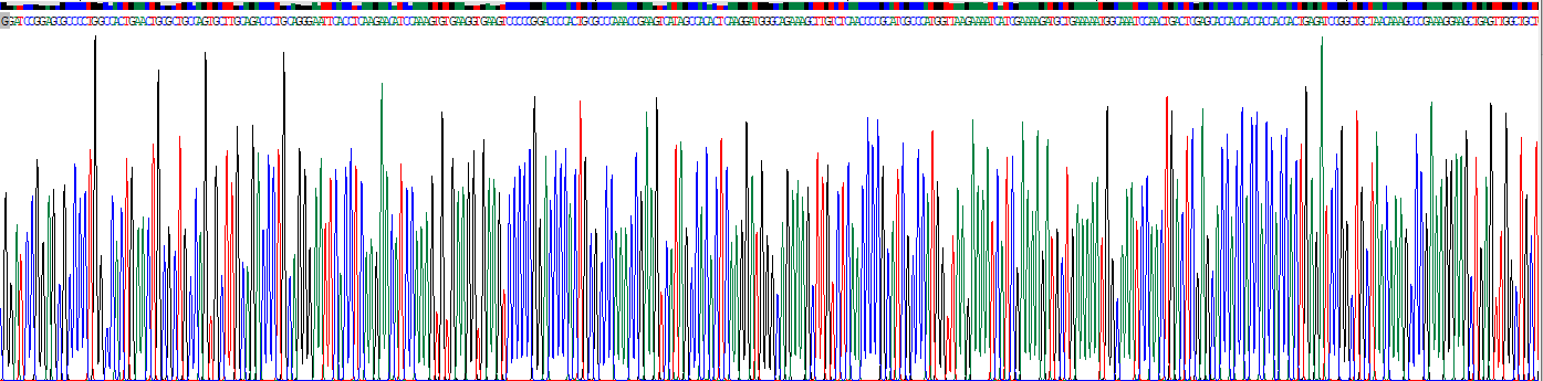 Recombinant Chemokine (C-X-C Motif) Ligand 2 (CXCL2)