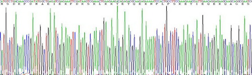 Recombinant Thymosin Beta 4 (TMSB4X)